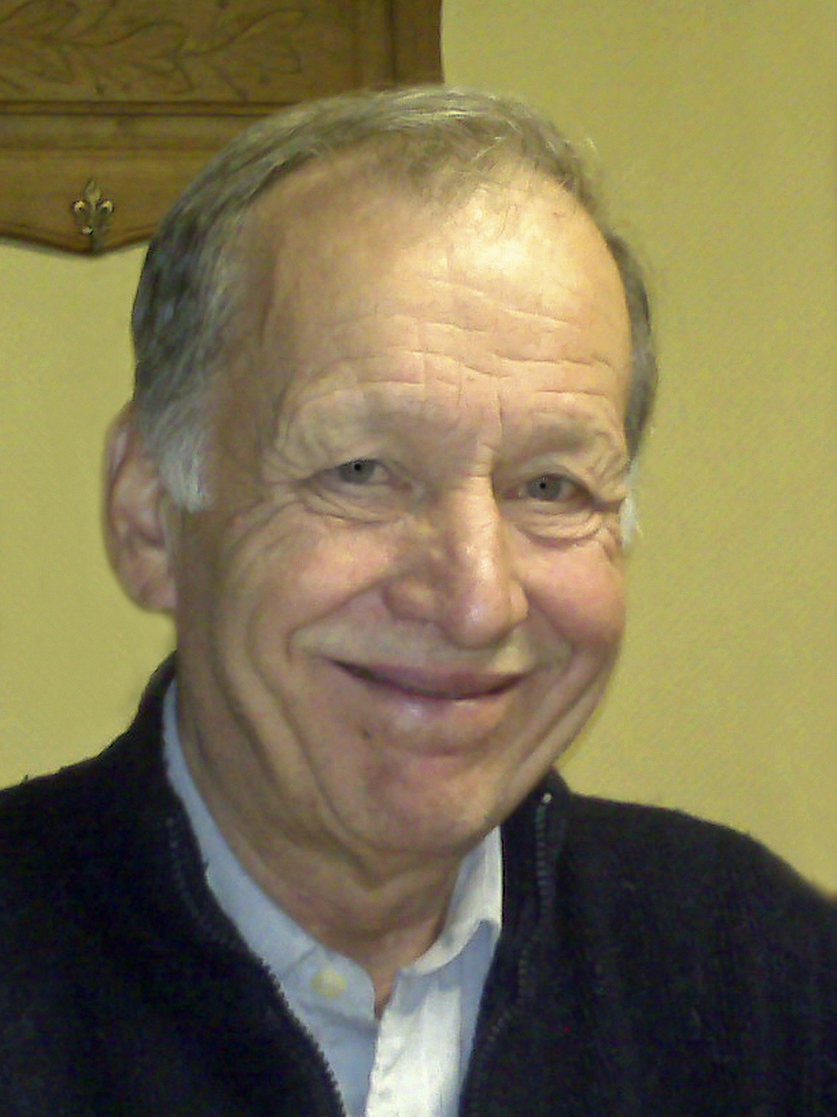 Portrait de ROBERT IMPENS