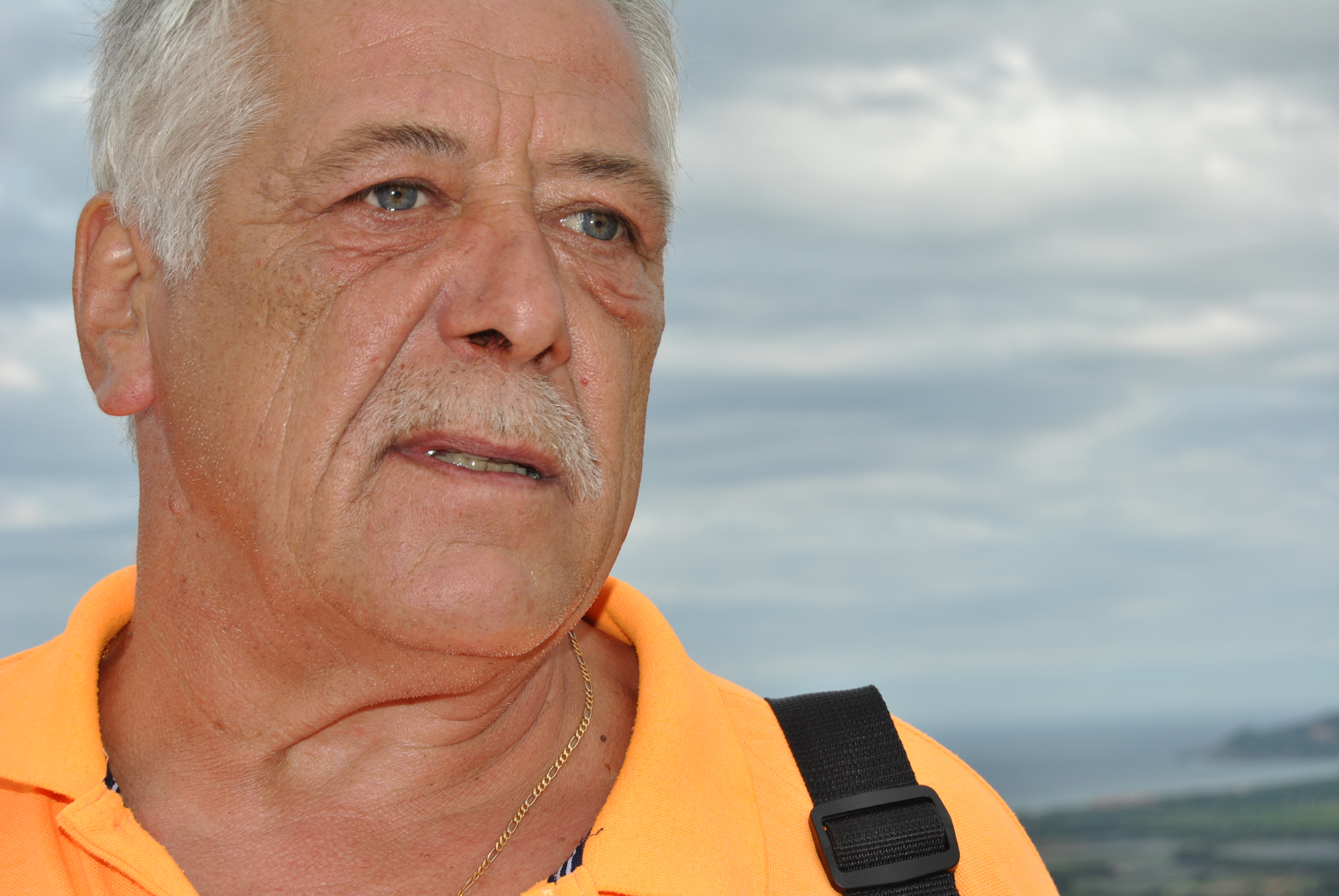 Portrait de PATRICK HALLOY