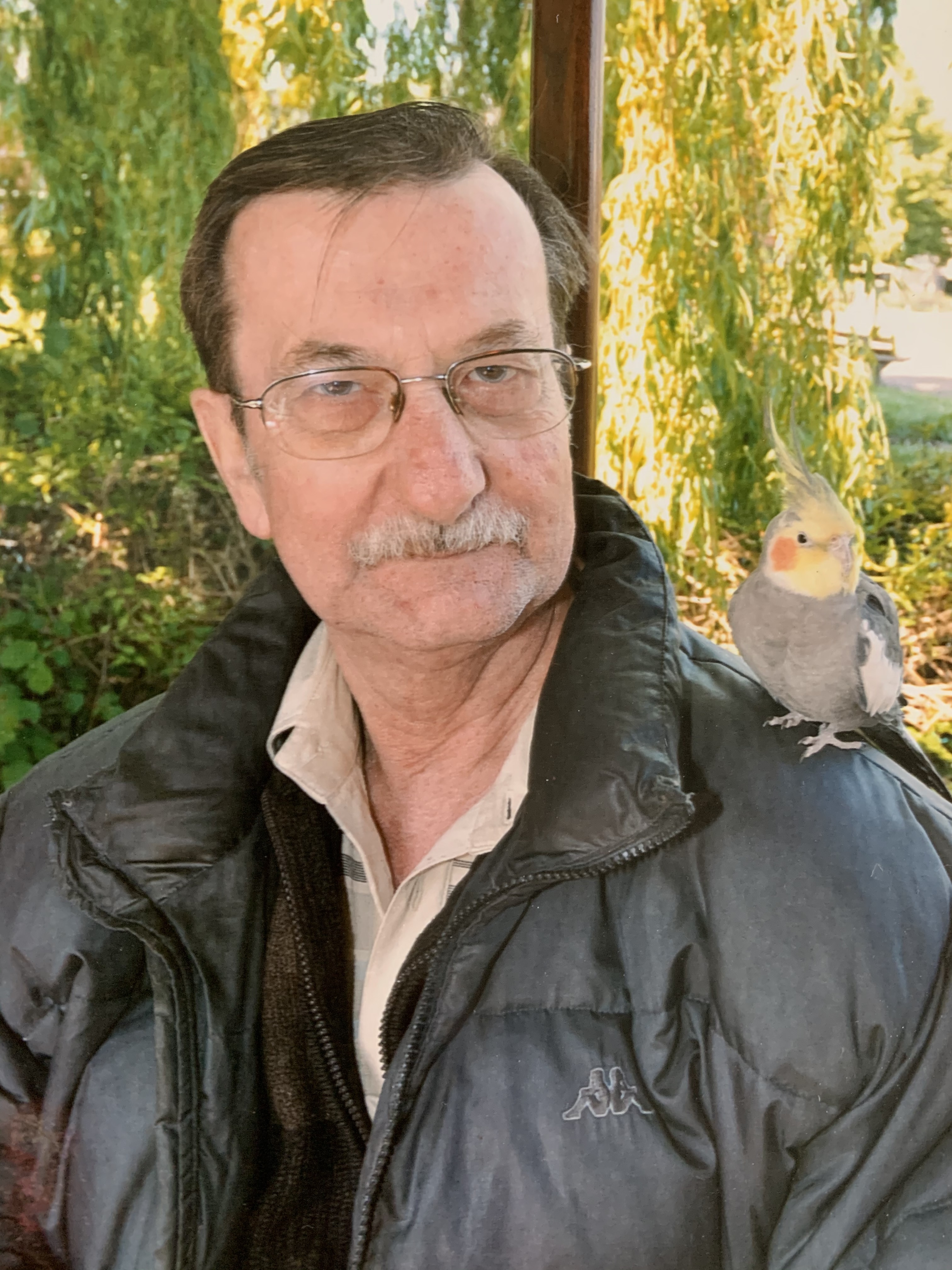 Portrait de MICHEL DUMONT