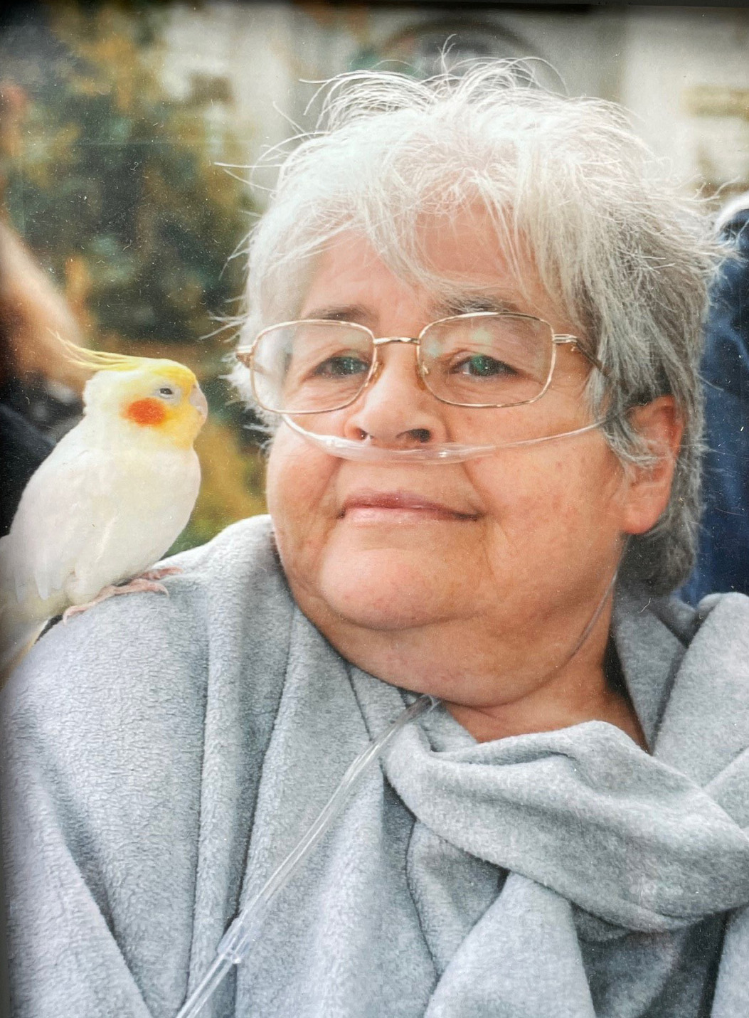 Portrait de LINETTE HOSTE