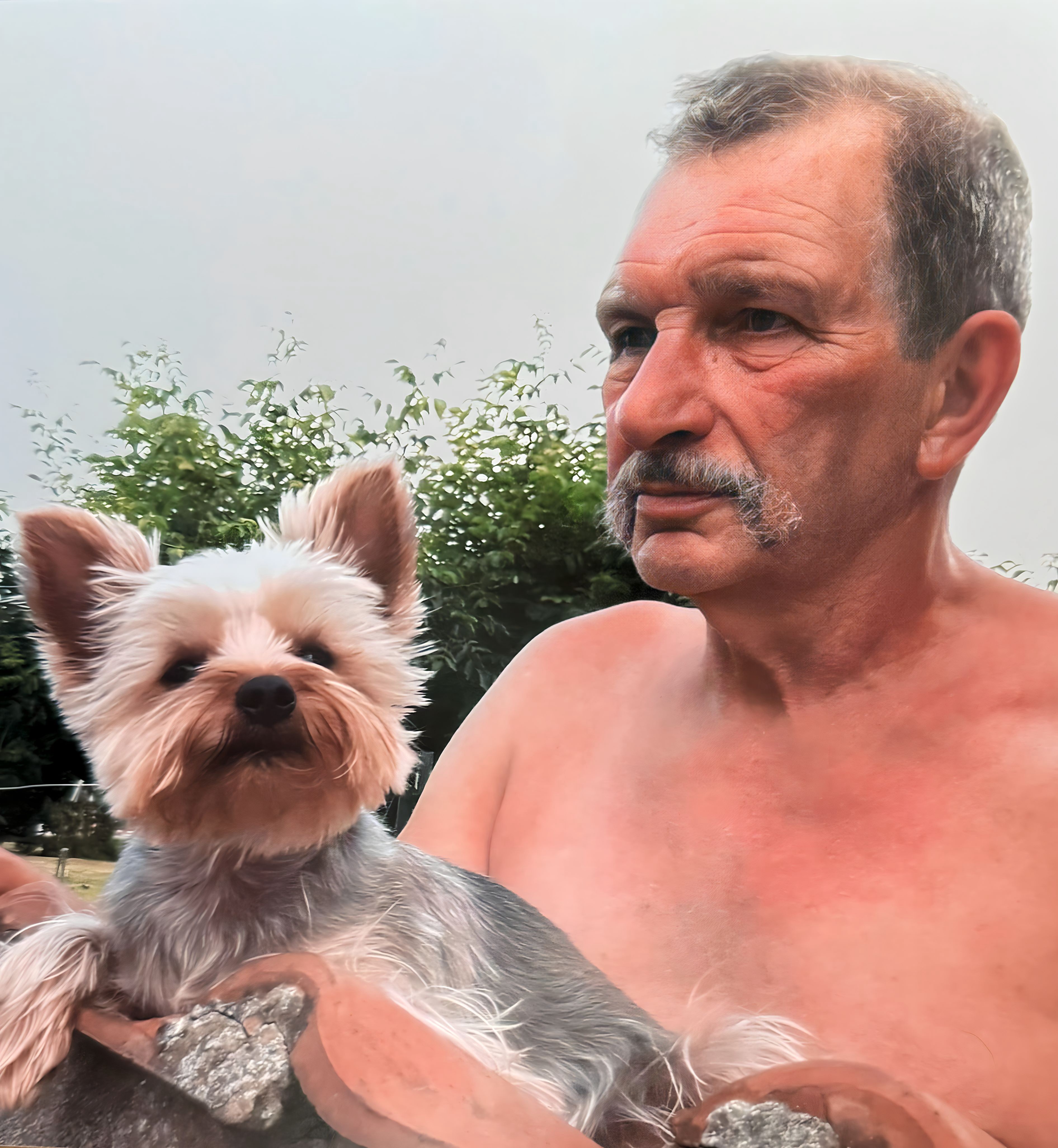 Portrait de ANDRE ALBERT