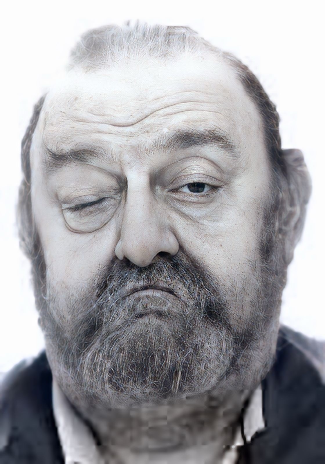 Portrait de JOSE BEGON