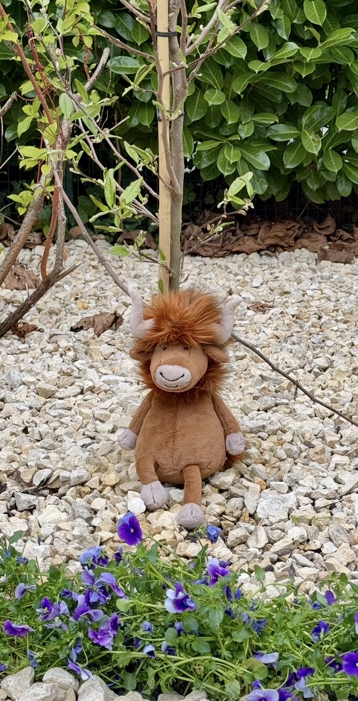 Portrait de VIOLETTE CASSART - LEVIE